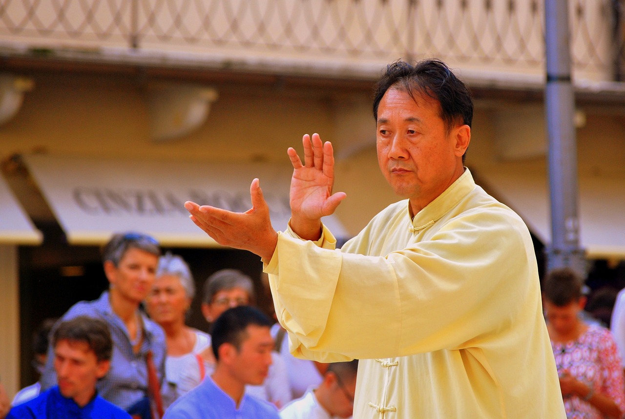 陈氏太极五捶_陈氏太极拳五段分段教学